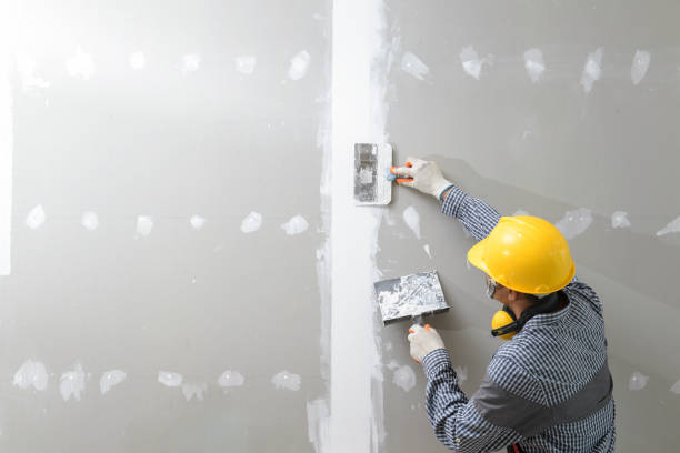 Best Ceiling Drywall Installation  in Colfax, CA